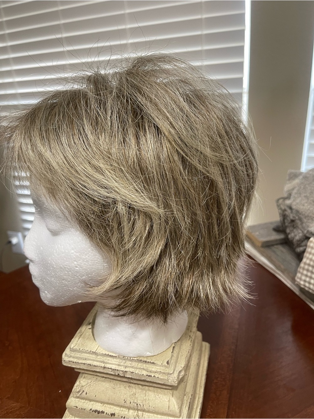 Rene of Paris Wig Coco shag frosted layered bangs